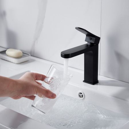 Смеситель для раковины Shevanik S4501H, черный, артикул S4501H