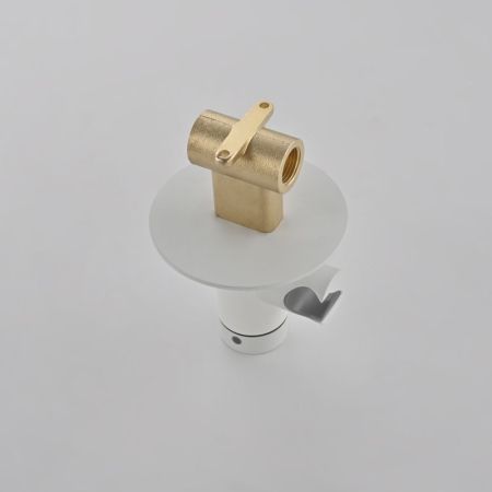 Гигиенический душ со смесителем Rose R235C, белый