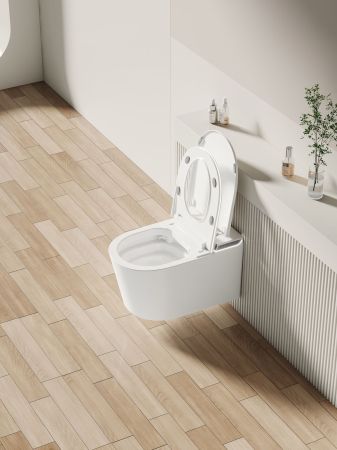 Унитаз подвесной Allen Brau Smart 4.I1001.20 белый, с функцией биде