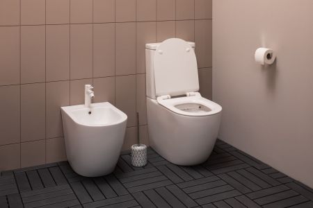 Чаша напольного унитаза Aquanet Rimless Cetus-C1 BL-102N-TPT