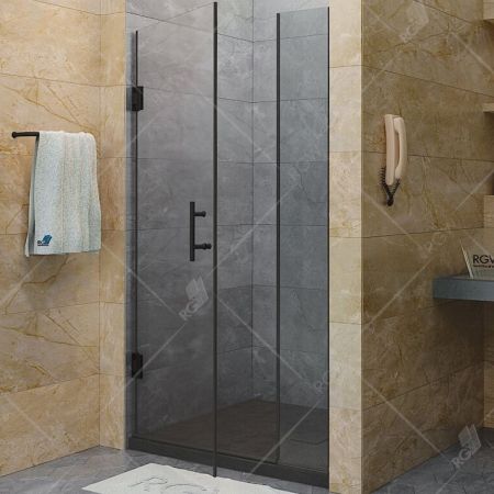 Душевая дверь RGW Hotel HO-012-B 350601200-14 профиль Черный стекло прозрачное, артикул 350601200-14