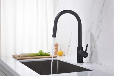 Смеситель для кухни с вытяжным изливом 2 jet AQUATEK, матовый черный AQ1384MB ЕВРОПА, артикул AQ1384MB