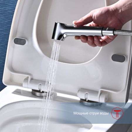 Гигиенический душ со смесителем Raglo R03.51, хром