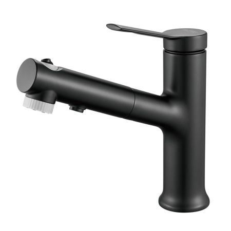 Смеситель для раковины многофункциональный Raffine F281H, черный, артикул F281H