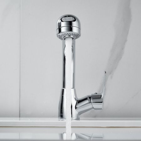 Смеситель для раковины многофункциональный Raffine F291, хром