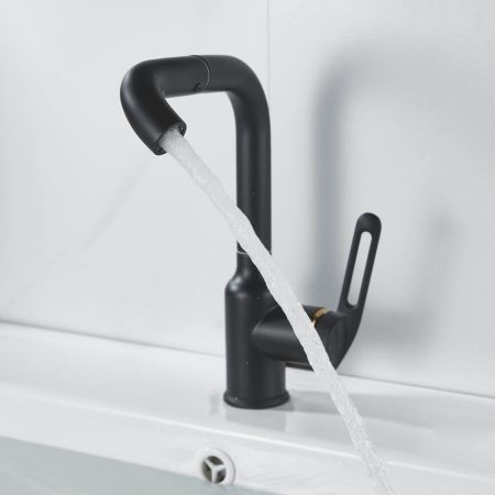 Смеситель для раковины Raffine F201H, черный