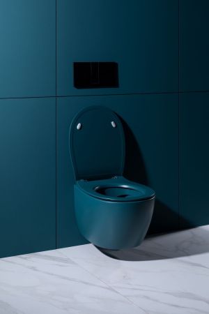 Крышка-сиденье для унитаза Allen Brau Fantasy Soft-Close 4.11005.PT петроль, артикул 4.11005.PT