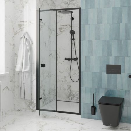 Дверь BELLA D81B душевая в нишу Cerutti SPA (80х195) Дверь BELLA D81B душевая в нишу Cerutti SPA (80х195)