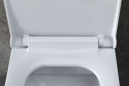 Чаша подвесного унитаза Allen Brau Infinity 4.21011.20 белый глянец, артикул 4.21011.20