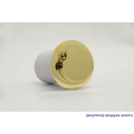 Ванна EXCELLENT Kameleon 170x110 (левая) "SMART" (золото), артикул WAEX.KML17.SMART.GL