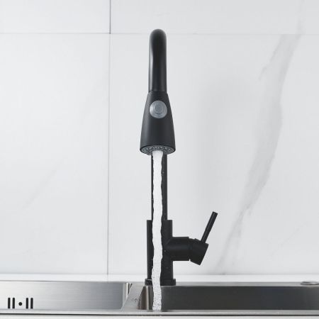 Смеситель для кухни с выдвижным изливом Raffine F213H, черный