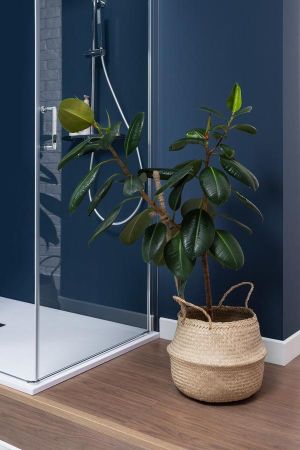 Душевая дверь Aquanet Cinetic AE12-N-120H190U-CT 1200, прозрачное стекло, артикул AE12-N-120H190U-CT