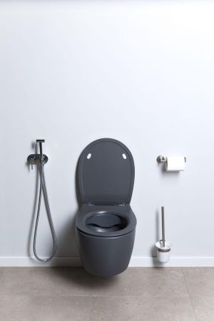 Чаша подвесного унитаза Allen Brau Fantasy 4.11004.AN антрацит, артикул 4.11004.AN