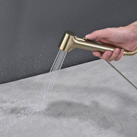 Гигиенический душ со смесителем Rose R235G, золотой сатин