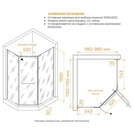 Душевой уголок RGW PA-091B 1000x1200, артикул 35089102-14