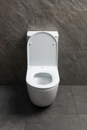 Чаша напольного унитаза Allen Brau Priority Tornado 4.31006.20 белый глянец