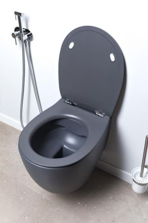 Чаша подвесного унитаза Allen Brau Fantasy 4.11004.AN антрацит, артикул 4.11004.AN