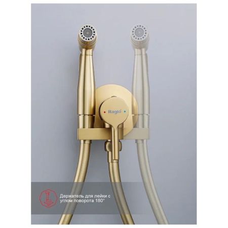 Гигиенический душ со смесителем встраиваемый Raglo R20.54.03, сатин золотой