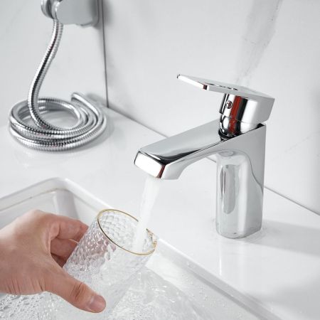 Смеситель для раковины с гигиеническим душем Raffine F171, хром, артикул F171