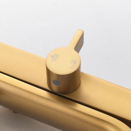 Душевая система Shevanik S4036G, золотой сатин