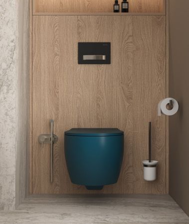 Клавиша смыва Allen Brau Fantasy 9.20004.31 черный матовый, артикул 9.20004.31