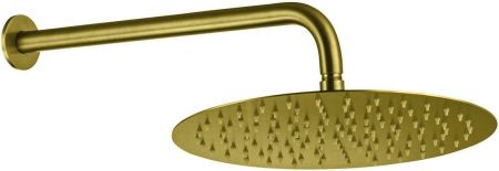 Верхний душ Allen Brau Priority 5.31A17-GB золото, артикул 5.31A17-GB