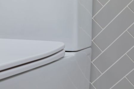 Чаша напольного унитаза Aquanet Rimless Tavr 2.0 C1 LX-2905, артикул Tavr 2.0 C1