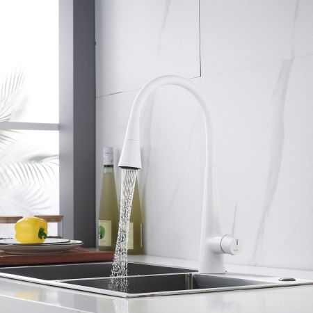 Смеситель для кухни с гибким изливом и режимом "душ" Rose R213C, белый