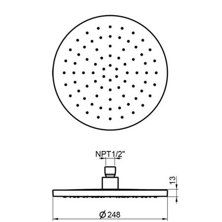 ALMAR Верхний душ D248 мм без держателя, цвет нержавеющая сталь брашированная AISI 316, артикул E044252.316
