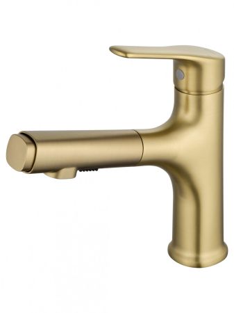Смеситель для раковины с выдвижным изливом WONZON & WOGHAND, Брашированное золото (WW-AE4151-BG), артикул WW-AE4151-BG