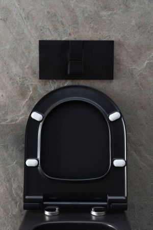 Чаша подвесного унитаза Allen Brau Priority 4.31001.31 черный матовый, артикул 4.31001.31