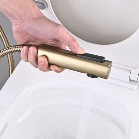 Гигиенический душ со смесителем Shevanik S6105G-1, золотой сатин