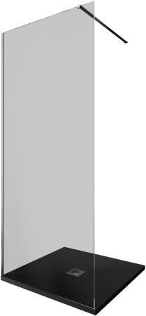 Душевая перегородка Allen Brau Infinity 1 90 3.21008.BA.T серебро браш, артикул 3.21008.BA.T