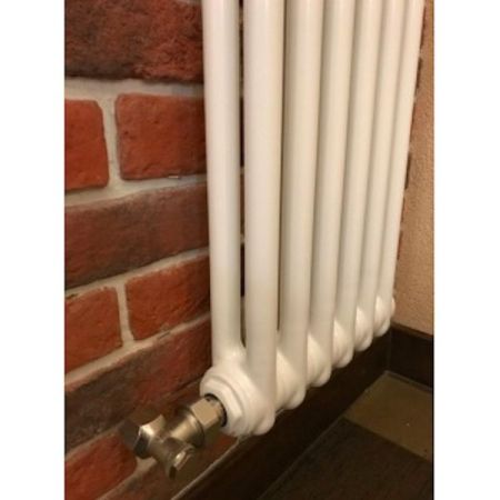 Стальной радиатор Arbonia 2180/06 6 секций с боковым подключением, артикул 2180/06