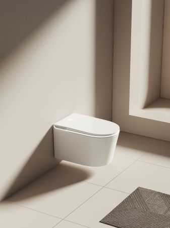 Унитаз подвесной Allen Brau Smart 4.I1001.20 белый, с функцией биде