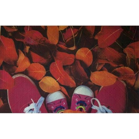 Коврик для входной двери Fora 40х60 FOR-DOOR06 Листья, артикул FOR-DOOR06