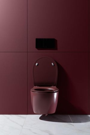 Чаша подвесного унитаза Allen Brau Fantasy 4.11004.BD бордо, артикул 4.11004.BD