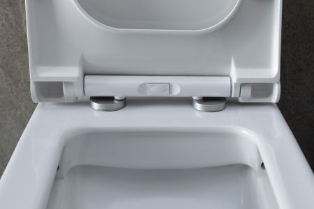 Чаша напольного унитаза Allen Brau Infinity 4.21012.20 белый глянец, артикул 4.21012.20