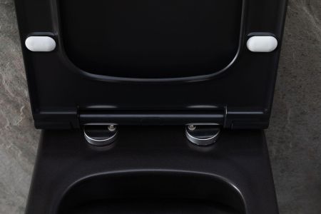 Чаша подвесного унитаза Allen Brau Priority 4.31002.31 черный матовый, артикул 4.31002.31