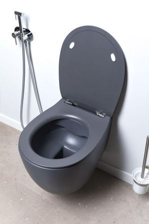 Чаша подвесного унитаза Allen Brau Fantasy 4.11004.AN антрацит, артикул 4.11004.AN