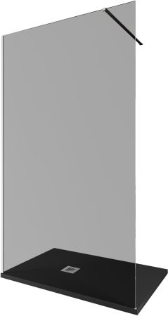 Душевая перегородка Allen Brau Infinity 1 120 3.21020.BA.T серебро браш, артикул 3.21020.BA.T