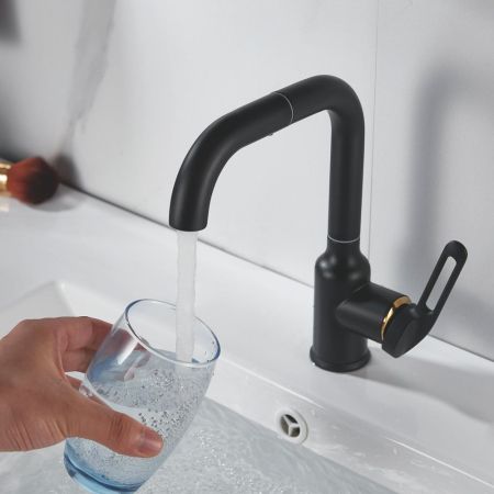 Смеситель для раковины Raffine F201H, черный