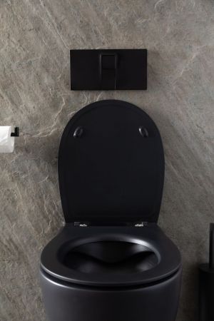 Чаша подвесного унитаза Allen Brau Reality 4.32006.31 черный матовый, артикул 4.32006.31