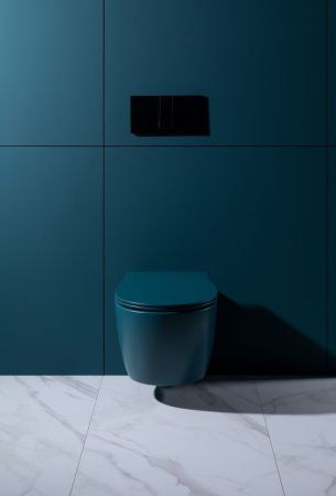 Крышка-сиденье для унитаза Allen Brau Fantasy Soft-Close 4.11005.PT петроль, артикул 4.11005.PT