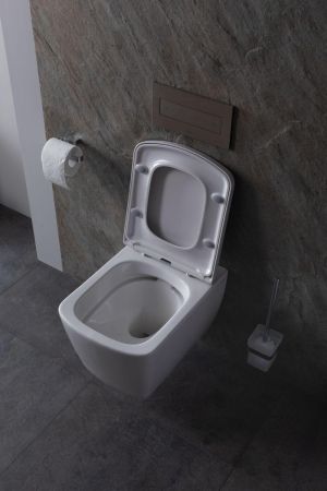 Крышка-сиденье для унитаза Allen Brau Liberty 4.33006.20 белый глянец, артикул 4.33006.20