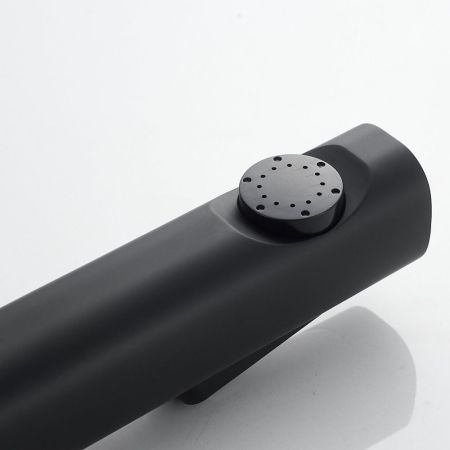 Гигиенический душ со смесителем Shevanik S9605H-1, черный