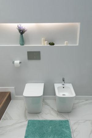 Унитаз приставной Aquanet Rimless Tavr 2.0 F LX-1908