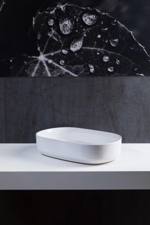 Раковина накладная Allen Brau Fantasy 55 4.11022.20 белый глянец, артикул 4.11022.20