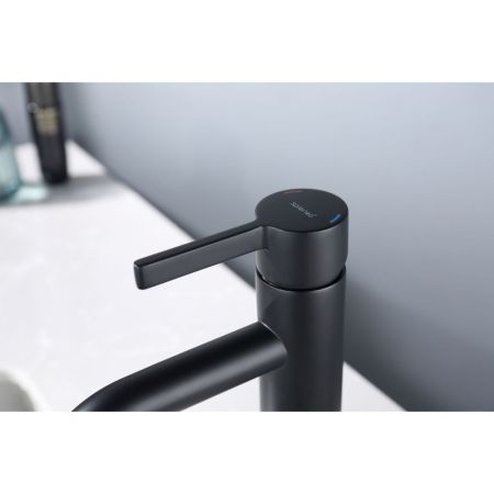 Смеситель для раковины Splenka S221.10.06, черный, артикул S221.10.06