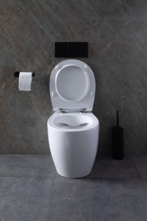 Чаша приставного унитаза Allen Brau Fantasy 4.11007.20 белый глянец, артикул 4.11007.20